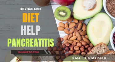 Plant-Based Diets: A Natural Remedy for Pancreatitis?