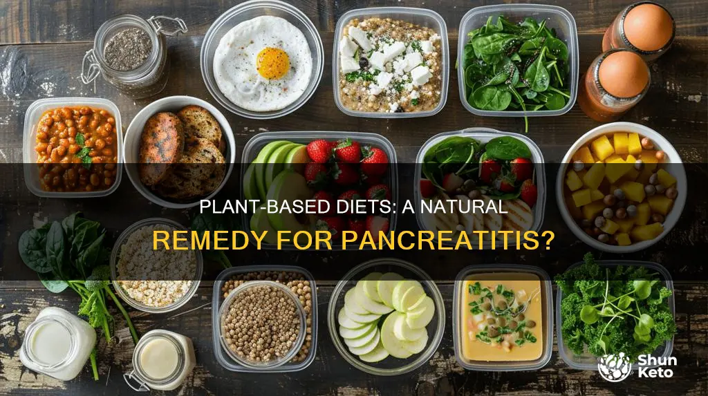 does plant based diet help pancreatitis