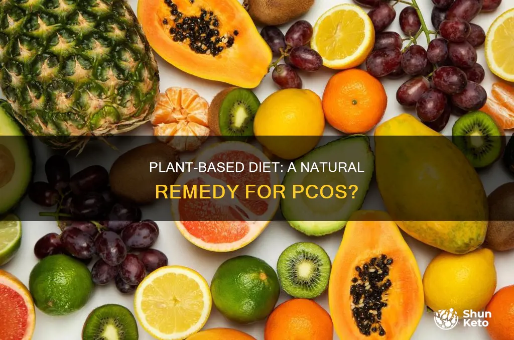 does plant based diet help pcos