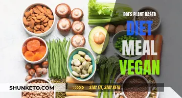 Plant-Based Diets: Are They Truly Vegan?