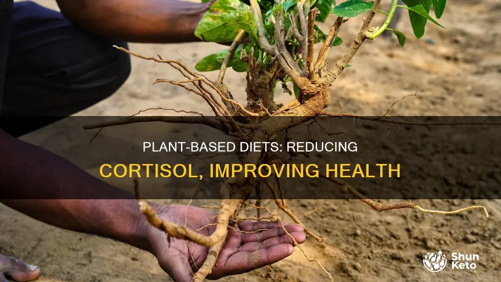 does plant based diet reduce cortisol