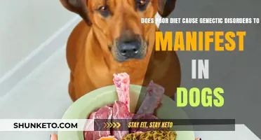 Can Diet Influence Genetic Disorders in Dogs?