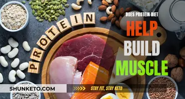 Protein Diets: Building Muscles or Just a Myth?