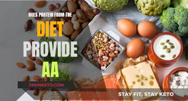 Protein-Rich Diets: Source of Amino Acids?