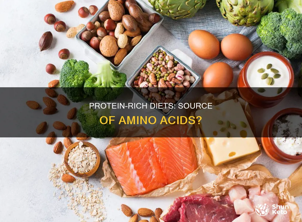 does protein from the diet provide aa