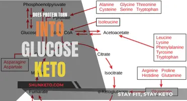 Protein and Glucose: Keto's Unlikely Friends