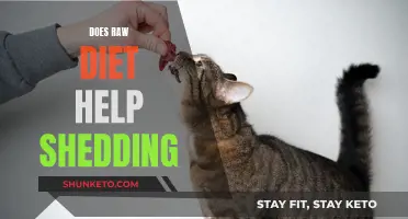 Raw Diet: Shedding Simplified