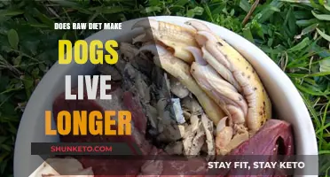 Raw Diets: Can They Extend Your Dog's Lifespan?