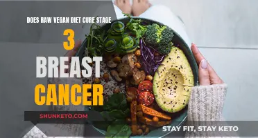 Vegan Diet: A Cure for Stage 3 Breast Cancer?