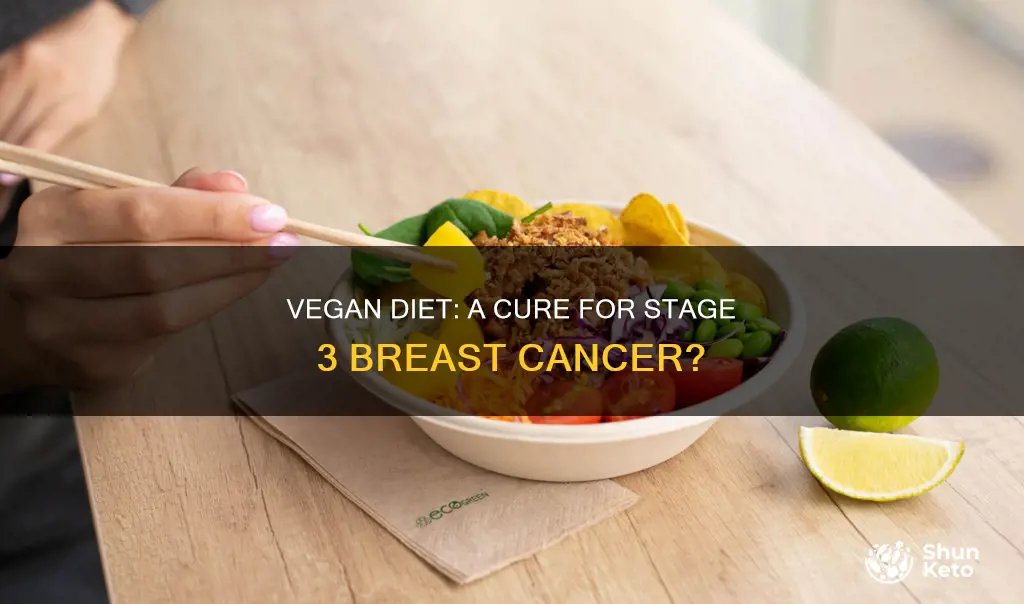 does raw vegan diet cure stage 3 breast cancer