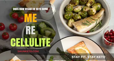 Raw Vegan vs. Keto: Which Diet Burns Cellulite Faster?
