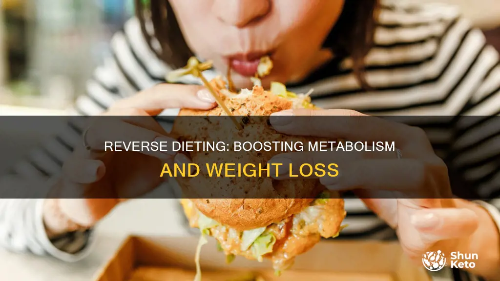 does reverse dieting increase metabolism
