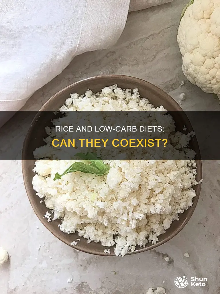does rice have carbslow carb diets