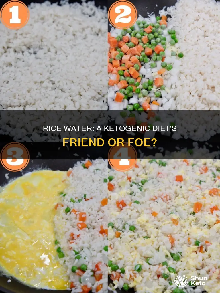 does rice water help while on ketogenic diet
