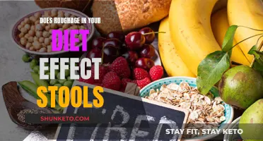 Roughage and Stool: The Diet-Bowel Connection Explained