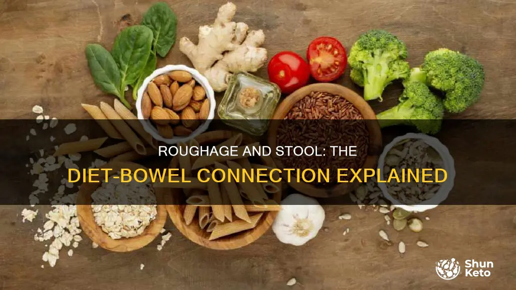 does roughage in your diet effect stools