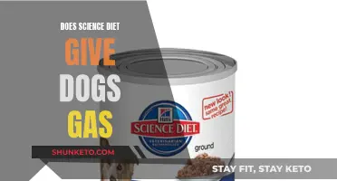 Science Diet and Dog Gas: What's the Link?