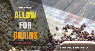 SIBO Diet: Are Grains Allowed?