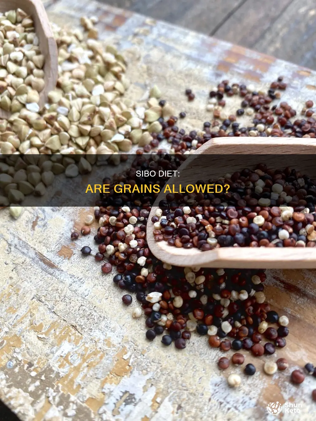 does sibo diet allow for grains