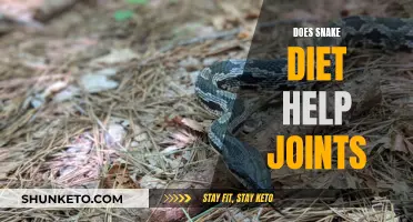 Snake Diet: A Joint Pain Solution?