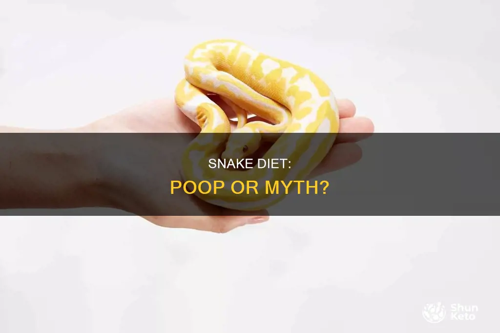 does snake diet make you poop