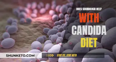 Sourdough and Candida Diet: What You Need to Know