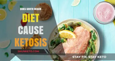 South Beach Diet: Does It Cause Ketosis?