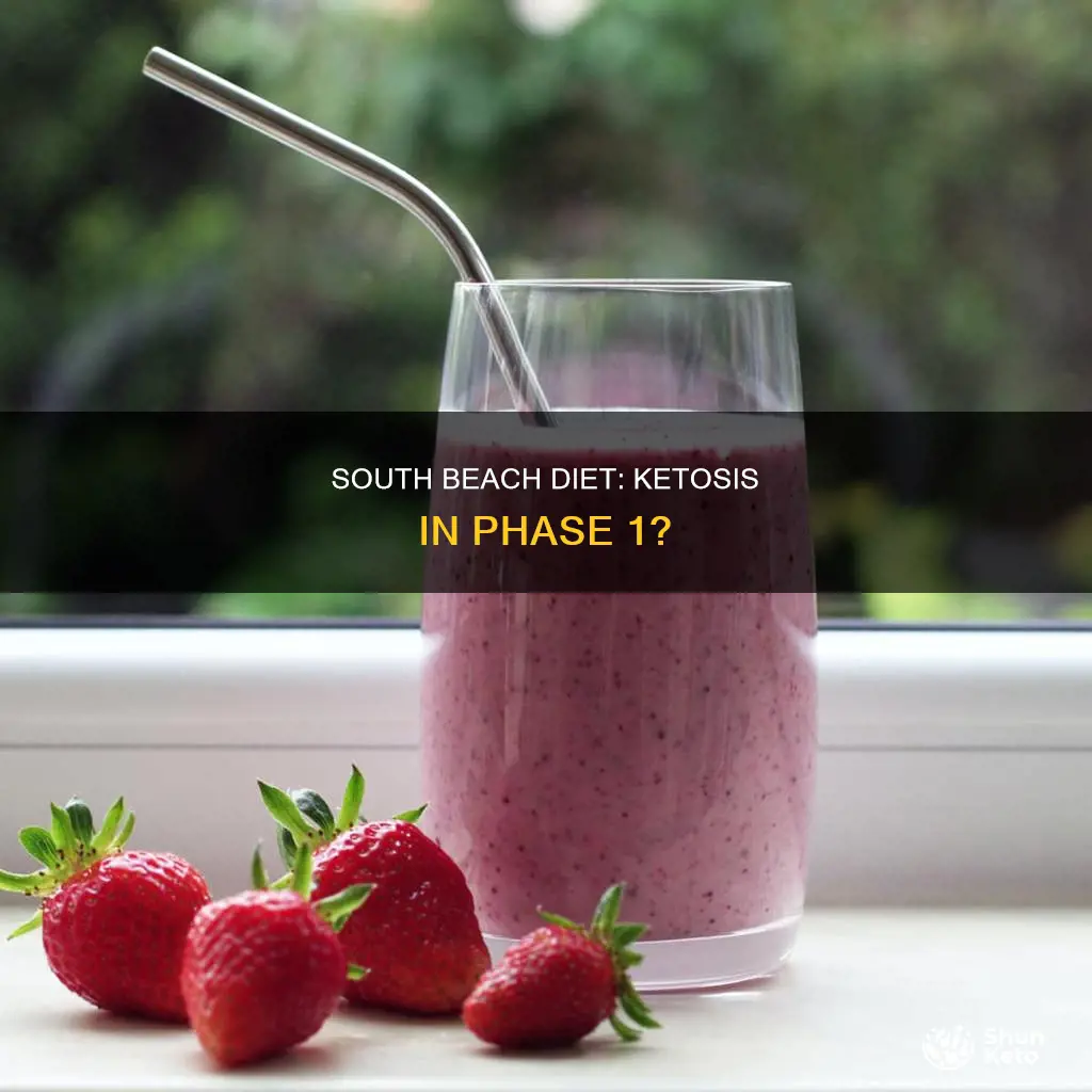 does south beach diet use ketosis in phase 1