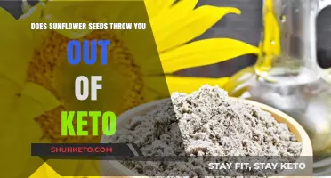 Can Sunflower Seeds Fit into a Keto Diet Without Kicking You Out?