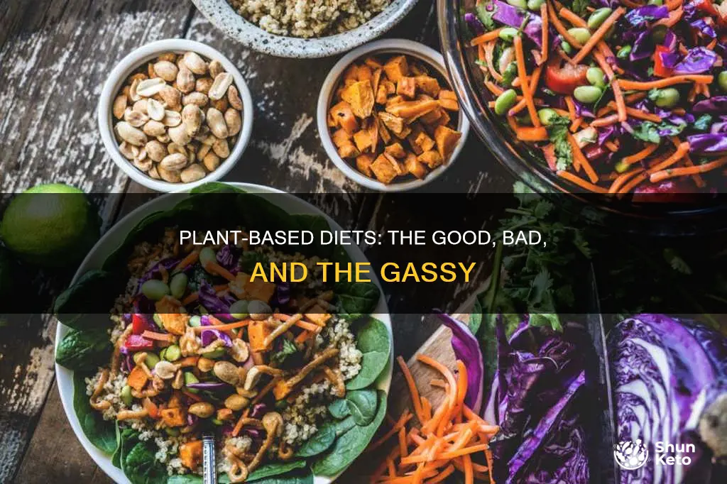 does swapping to a plant based diet cause increased gas