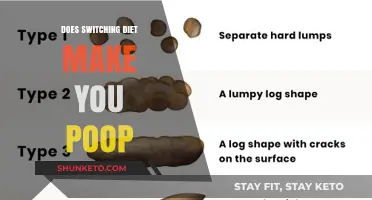 Switching Diets: Poop Changes and What They Mean