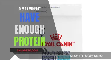 Feline Diet: Does TD Offer Enough Protein?