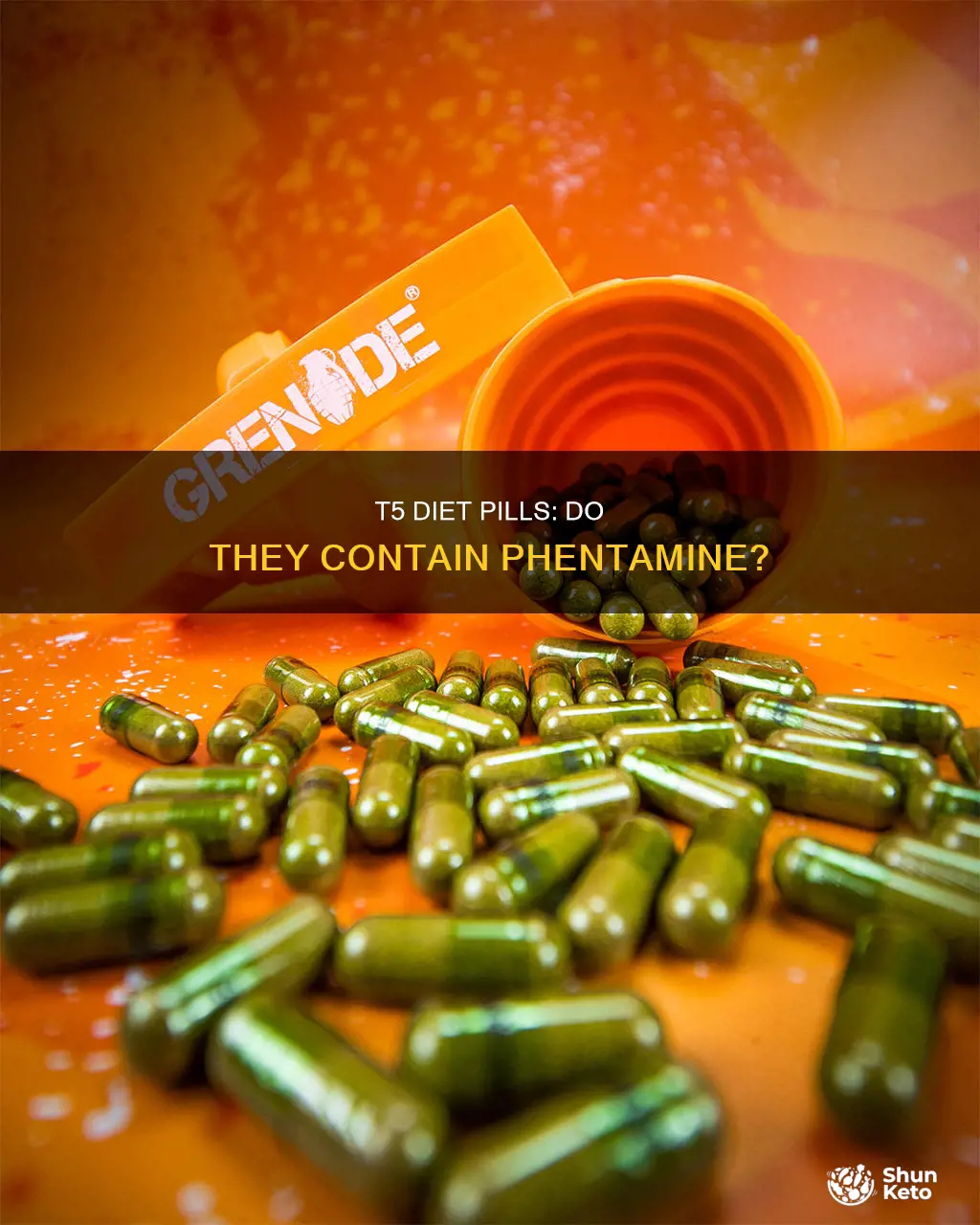 does t5 diet pills contain phentamine