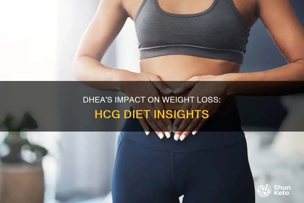 does taking dhea slow weightloss on hcg diet