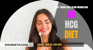 DHEA and Weight Loss: Slowing Effects on HCG Diet?