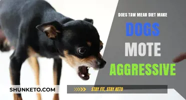 Taw Mear Diet: Aggression in Dogs?