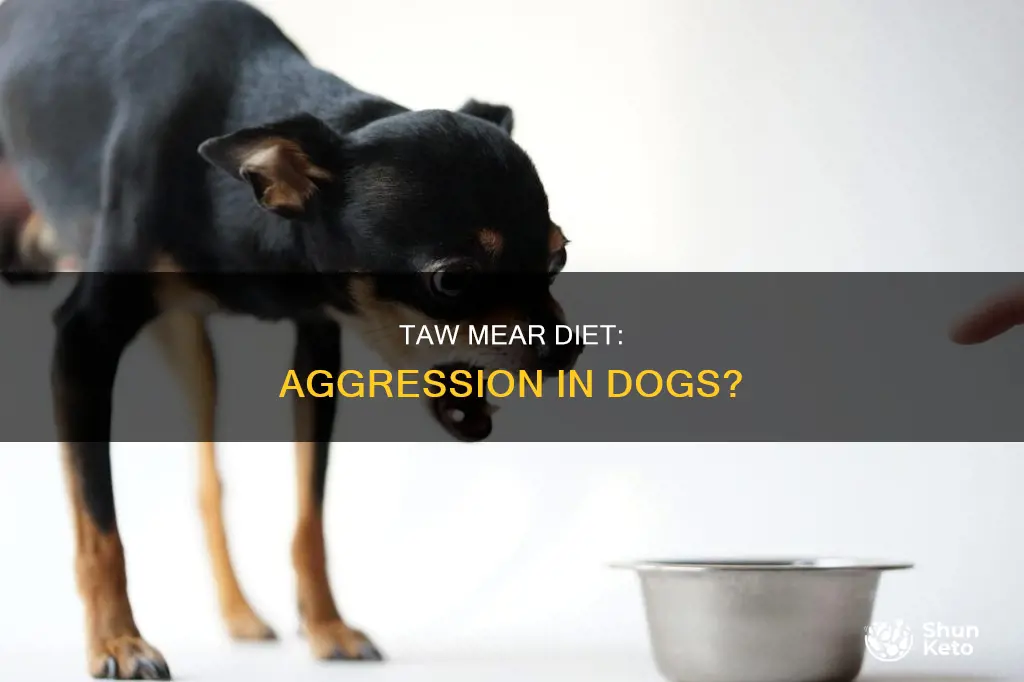 does taw mear diet make dogs mote aggressive