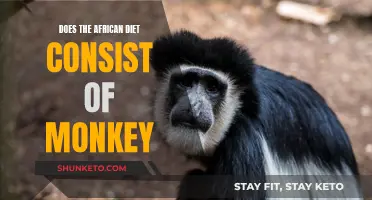 The African Diet: Does It Include Monkey Meat?
