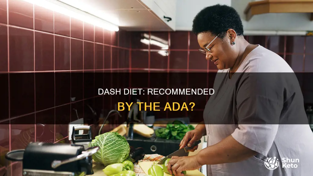 does the american diabetes association recommend dash diet