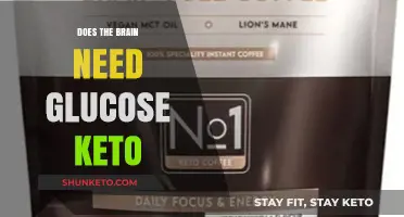 Brain Fuel Debate: Does Keto Challenge Glucose Dependency?