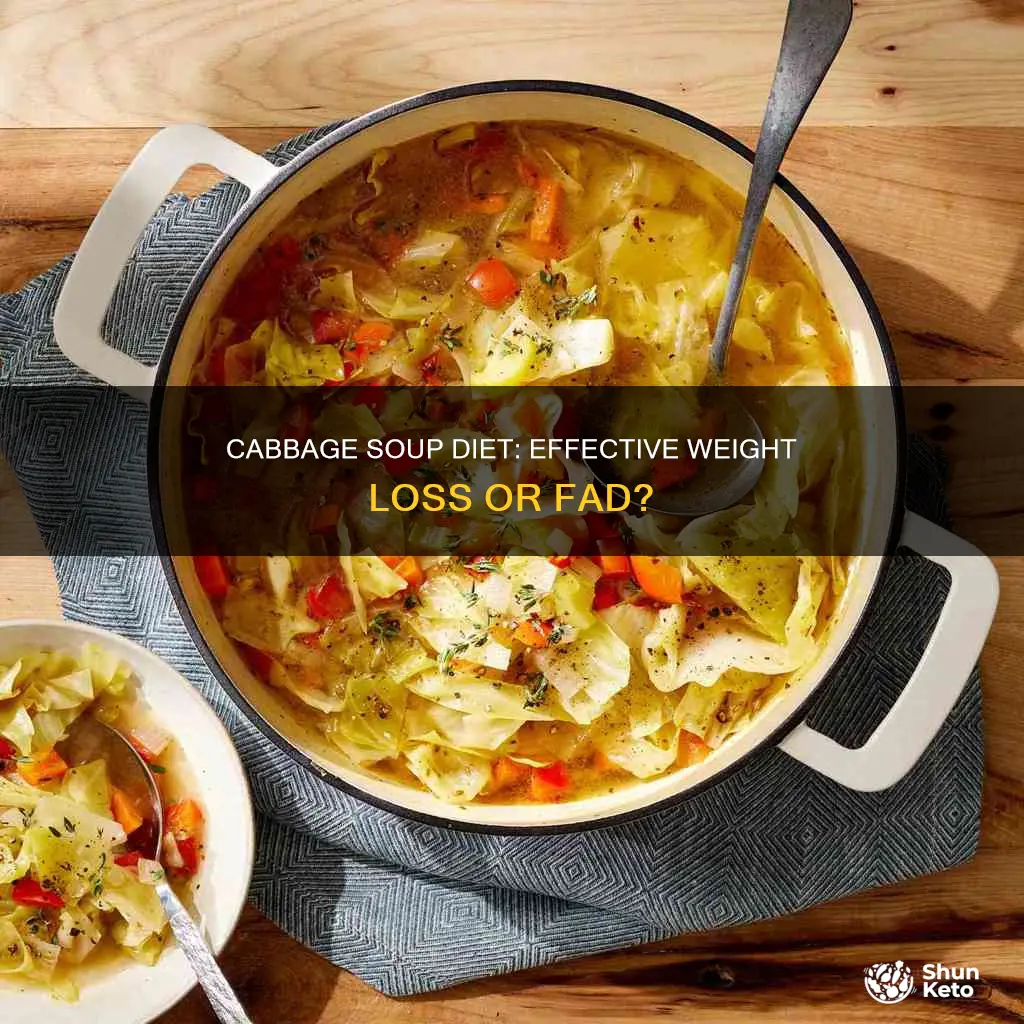 does the cabbage soup diet plan