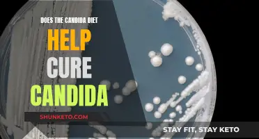 Candida Diet: Effective Cure or Myth?