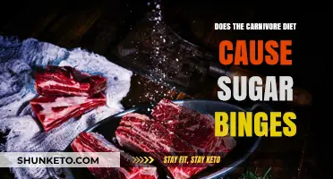 Carnivore Diet: Sugar Binges and Cravings Explained