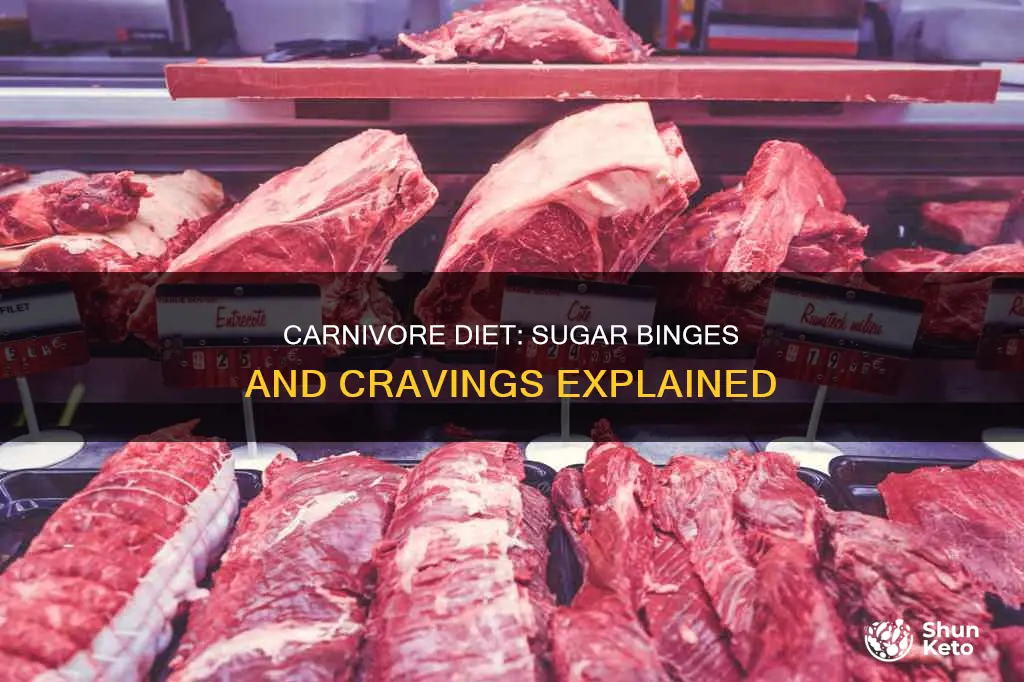 does the carnivore diet cause sugar binges