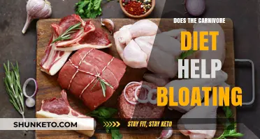 Carnivore Diet: A Solution to Bloating?