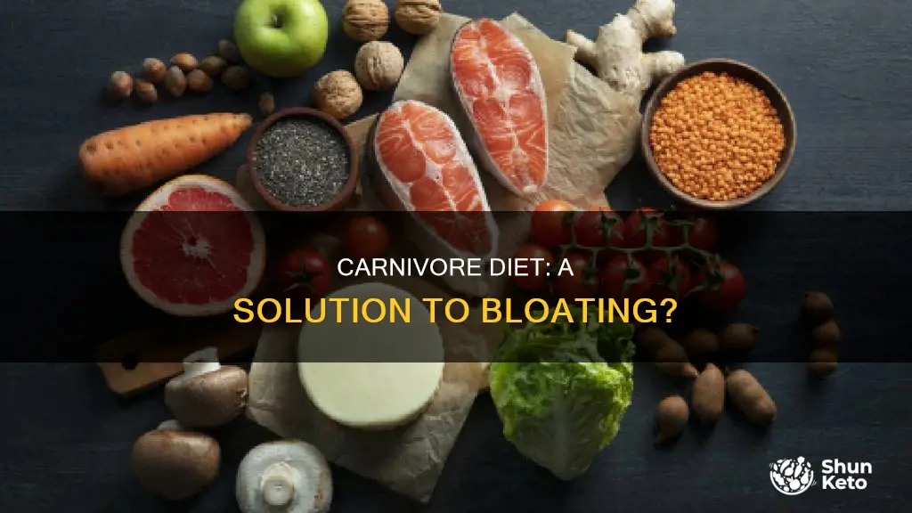 does the carnivore diet help bloating