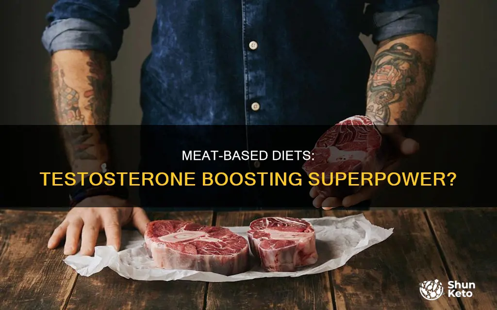 does the carnivore diet increase testosterone