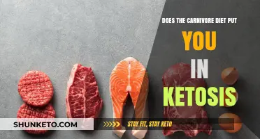 Carnivore Diet: Ketosis and Weight Loss