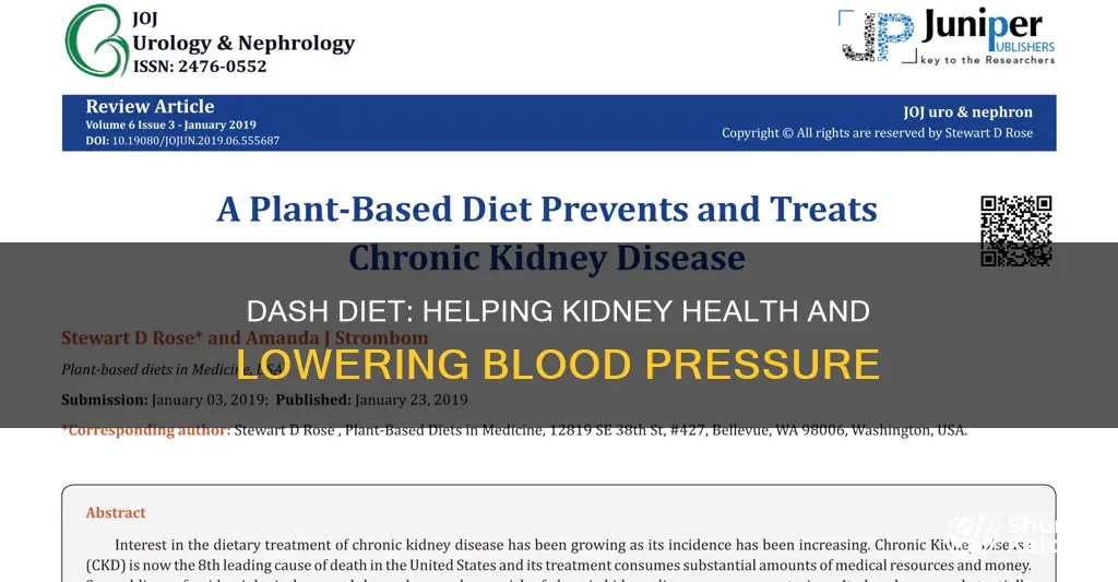 does the dash diet help lidneys