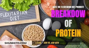 Flexitarian Diet: Protein Breakdown Benefits?